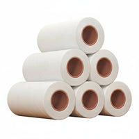 Tear-remove Brush Includes shielding Cover Paper dispenser for Home