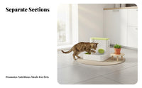 Wet & Dry Separation Automatic Pet Food and Water Dispenser Easy to Clean 2-in-1 Pet Feeder and Waterer Detachable Design for Cats, Vacation