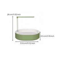 Green and White Parrot Bath Basin Rounded Rectangular Bird Shower Bath Integrated Side Support Parrot Bathtub Clear Tube
