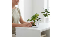 Resin Frog Sculpture Cute Resin Frog Statue Nordic Design Playful for Office