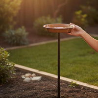 Bird Bath and Feeder 2-in-1 Designed for the Garden Bird Bath Feeder Easy to Install for Courtyard