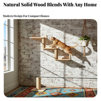 Solid Wood Wall Mounted Cat Climber Space-Saving Wall-Mounted Cat Climber Set Sturdy and Long-Lasting Pet Supplies Easy Installation for Apartment Dwellers, Small Areas, Along Walls, Living Room, Bedroom