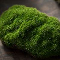 artificial turf