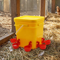 Automatic Chicken Waterer with Large Capacity Fowl Drinker, Pre-Drilled Holes for Goose and Quail, Self Replenishing Chicken Drinker