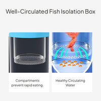Floating Fish Isolation Box Breeding Hatchery Fry Guard