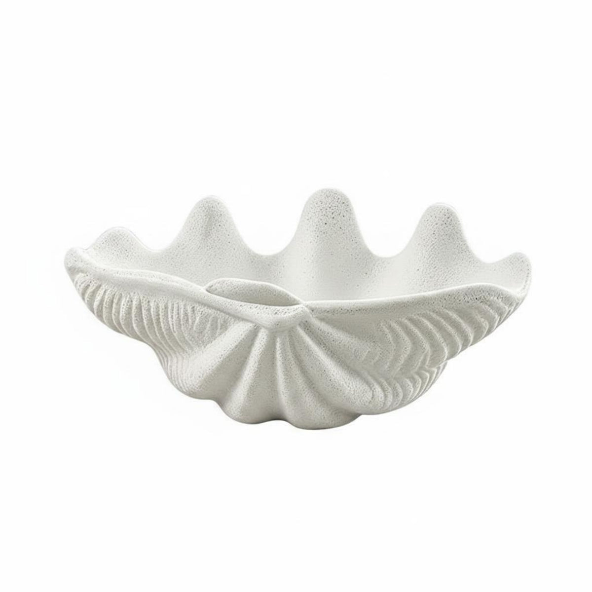 Modern Minimalist Clam Shell Bowl Artistic Design Seashell Decorative Bowl Realistic Look for Hotel, Guesthouse, Living Room
