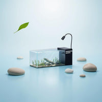 Desktop Clear Glass Aquarium with Automatic Circulation