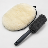 car cleaning kit