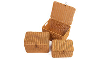 Rattan Storage Box Stylish Shelf Basket Functional for Living Room