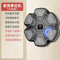 Smart Music Boxing Machine Home Training Reaction Wall Target Boxing Target for Kids and Adults