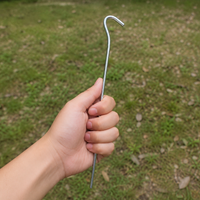 tent stakes