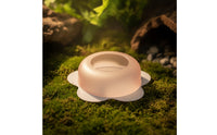 Semi-Transparent Reptile Feeding Bowl Translucent Feeding Dish Low-Profile Reptile Bowl Anti-Escape