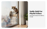 Drillnon-Drill Installation Suction Cup Window Perch Transparent Capsule Bed Suction Cup Window Shelf Space-Saving Feline Furniture Supports Large Felines for Apartment Dwellers, Indoors, Glass Panels, Glass Surfaces, Sunbathing