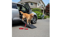 Folding Dog Ramp Foldable Anti-Slip Dog Ramp PP Material for Large Dogs
