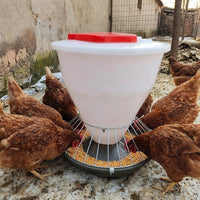 Chicken Feeder, Poultry Feeder, 50cm, 30kg Large Capacity, Stainless Steel, Plastic, Hanging Type, Floor Raising Feeder