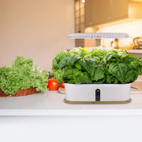 Hydroponic Planter with LED Grow Light Self-Watering Indoor Hydroponic Garden Indoor Garden with LED Grow Light Fresh Bright