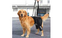 Breathable Dog Rehab Support Strap Adjustable Dog Hip Lift Harness Easy to Carry Rear Leg Support Harness Padded Handle for Older Dogs, Stairs, Walking
