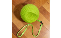 Golf Arm Position Swing Training Device Adjustable Strap Posture Correction Aid Portable Swing Connection Ball for Beginners, Golfers, Driving Range
