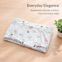 Underwear Women High Waist Knickers with Ice Silk Nylon Material, Breathable Panties for Everyday Wear and All Season Use, Comfortable Fit