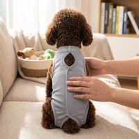 Cat Recovery Suit with Fasteners, Solid Four-Legged Clothing for Complete Body Coverage