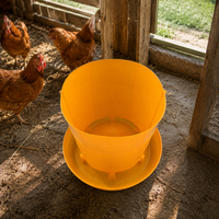 poultry feeder