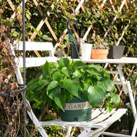 Plant Pots and Hanging Basket for Planters Outdoor, Indoor Plant Pot with Flower Pots Design, Hanging Plant with Three-Point Chain, Thickened
