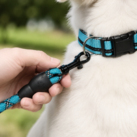dog leash and collar set