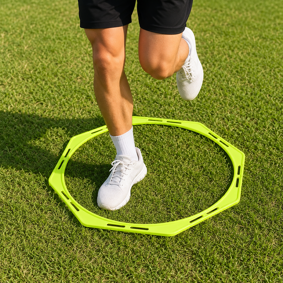 agility training rings