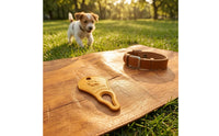 Glossy Tick Remover Pendant Embossed Pet Tick Remover Pendant Raised Text Collar Pendant Teardrop-Shaped