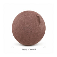 Fitness Ball Cover with Handle Long-Lasting Fitness Ball Cover Skin-Friendly Wear-Resistant for Yogis, Pilates, Home Gym