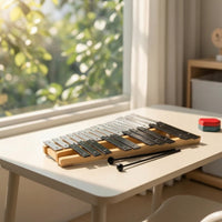 25 Note Xylophone Classroom-Friendly Xylophone with Carry Case Glockenspiel with Carrying Bag for Kids, Beginners