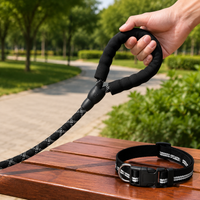 dog leash and collar set