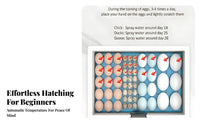 Water Bed Egg Hatchery Constant Temperature Small Egg Hatcher Air Circulation System Household Fowl Hatchery for Hobbyists, Beginners, Classroom