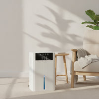 Humidity Remover with Timer Automatic Shut-off Household Dehumidifier Small Appliance for Closet, Rv