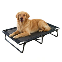 Foldable Elevated Dog Bed with Breathable Mesh, No Assembly Required