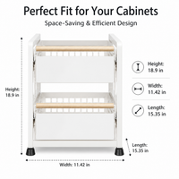 Large Under Sink Organiser, 2 Tier Pull Out Drawers for Cabinets, Metal Bathroom Storage with Stainless Steel Rails, Kitchen Cabinet
