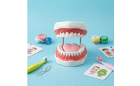 Visible Mouth Interior Brushing Practice Model Coil Hinges Tooth Brushing Model Pink Gums Teaching Aid