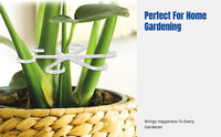 Transparent Stem Gathering Rack, Sturdy Rod Support, Versatile for Home & Commercial Gardening