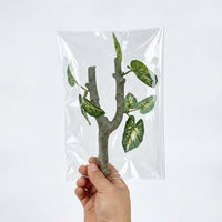 Lifelike Reptile Branch for Snake Accessories, Realistic Climbing Branch with Multi-Colored Leaves, 20cm X 7cm, 1 Piece