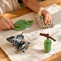 Butterfly Life Cycle Model Set - Educational Insect Growth Stages for Kids