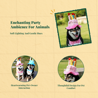 Dog Birthday Hat, Breathable Bib Scarf, Party Costume