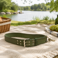 Nylon Webbing Dog Collar, Adjustable, Durable, for Small, Medium, Large Dogs, Walking, Training