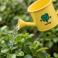Traditional Indoor Watering Can, Small Iron Watering Can for Houseplants, Painted Metal with Showerhead Rose