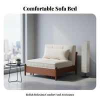 Multifunctional Design transformable Sleeper Sofa with Storage Foldable Pull-extendable Sleeper with Storage Chaise Modern Minimalist design Living Room Furniture Space-Saving for Apartment Dwellers, Families, Homeowners, attic, Den