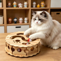 Wooden Cat Toy Indoor Foraging Maze Space-Saving for Living Room, Cats, Kittens