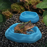 Tortoise Water Bowl and Naturalistic Reptile Dish, 2 Piece Shallow Reptile Bowl Set Accessories for Leopard Geckos, Frogs and Hermit Crabs