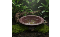 Turtle Bath Basin Low Entry Tortoise Water Bowl with Ramp Tortoise Soaking Dish Anti-Drowning Design Amphibian Water Bowl