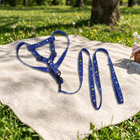 Small Dog Harness and Small Dog Leash Nylon Pet Dog Walking Set and Cat Walking Set, Not Retractable Training Outdoor Walking Gear