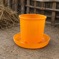 poultry feeder