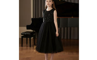Lined Inside Black Sequin Princess Dress Easy to Clean Girl's Tulle Performance Gown Sleeveless Sequin Bodice Dress for Students, Recital, Party, Wedding